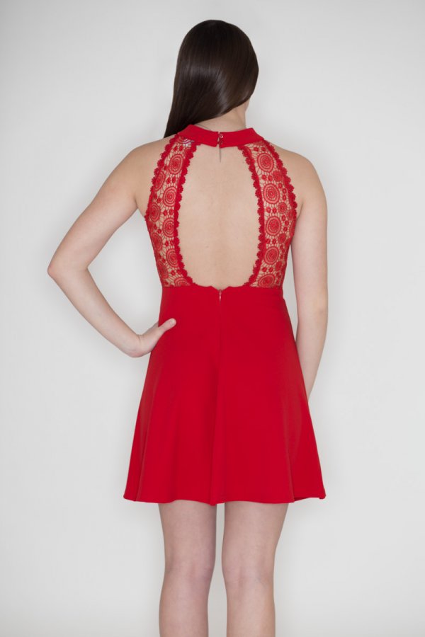 She and Sky Lace Back Fit And Flare Dress