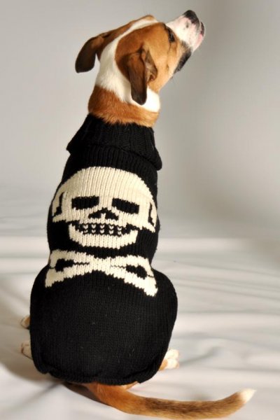 Black Skull Sweater by Chill