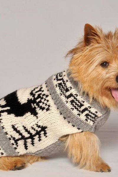 Reindeer Shawl Sweater by Chilly Dog