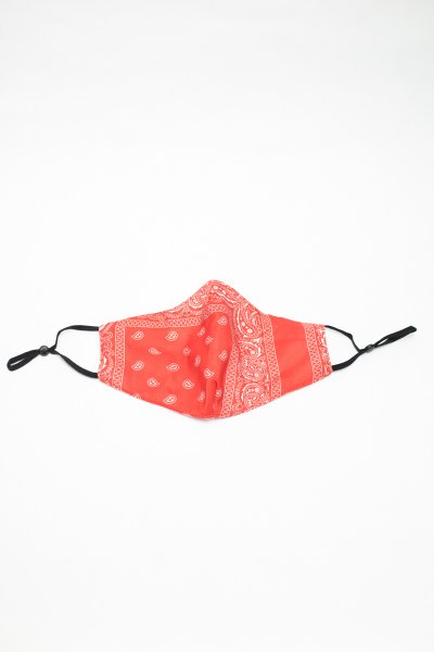 Red Paisley Face Mask