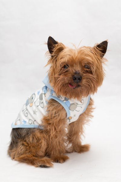 Monkey Hooded Tank by Dogo Pet