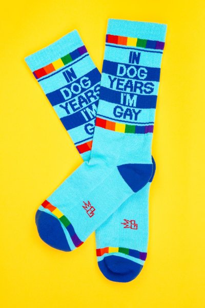 In Dog Years I'm Gay Socks by Gumball Poodle
