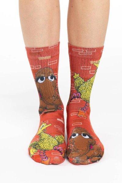 Sesame Street Big Bird And Snuffleupagus Socks
