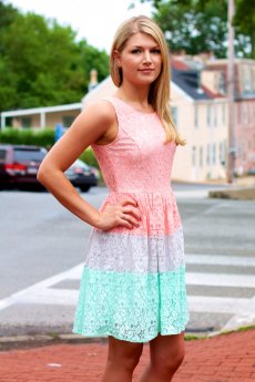 Sleeveless Lace Color Block Dress by Ya Los Angeles