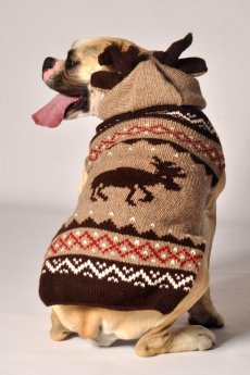 Moosey Hoodie Dog Sweater by Chilly Dog
