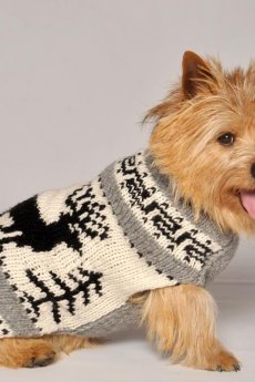 Reindeer Shawl Sweater by Chilly Dog