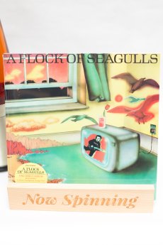 A Flock Of Seagulls - Self Titled LP Vinyl