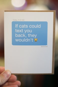 Cat Text Card