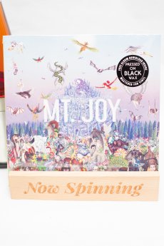 Mt. Joy - Rearrange Us LP Vinyl