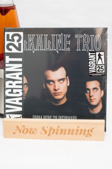Alkaline Trio - From Here To Infirmary LP Vinyl