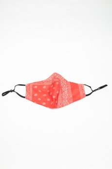 Red Paisley Face Mask