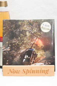 Ty Segall - Possession LP Vinyl