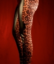 Leopard Print Contrast Pants by Nikibiki