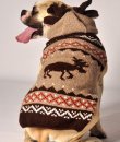 Moosey Hoodie Dog Sweater by Chilly Dog