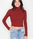 Turtleneck Crop Top by Bear Dance