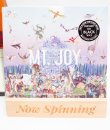Mt. Joy - Rearrange Us LP Vinyl