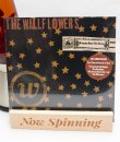 The Wallflowers - Bringing Down The Horse Vinyl