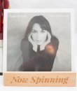 Susanna Hoffs - The Lost Record LP Vinyl