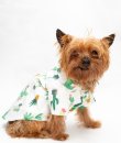 Cactus Shirt by Dogo Pet